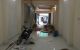 thum-8028420_dgU03fhZbc_1625903789.jpg