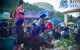thum-8028421_nNyfVhTWPp_1625903769.jpg