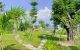 thum-8028616_4AYCWZ18HV_1625909219.jpg