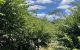 thum-m_lvEKutnNfr_1625902037.jpg