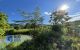 thum-m_nglRiFMIoh_1625902493.jpg