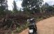 thum-8032372_iWrqUw8tpl_1626145536.jpg