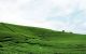thum-m_3nPzw7Sjfs_1626157649.jpg