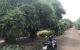 thum-8034079_GUpDj09eEB_1626223954.jpg