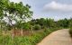 thum-m_HhQdCMJNxF_1626254143.jpg