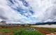thum-8036175_LDXusyW0wl_1626316984.jpg