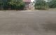 thum-8036742_5TDzy4uKMx_1626339179.jpg