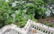 thum-m_Wf2D49geHK_1626364136.jpg