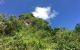 thum-8040426_FfJgqOhnoA_1626508088.jpg