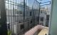 thum-8041841_fCUWpMne5x_1626619073.jpeg