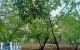 thum-8042995_Xed3MOzWuY_1626666821.jpg