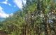thum-8043568_7QBUD3rHqM_1626686483.jpg