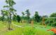 thum-8044515_bxrpkOlnVe_1626749957.jpg