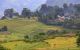 thum-8044719_VGnyuZjbIO_1626753799.jpg
