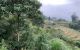 thum-8048415_cweRDg2tvE_1626928691.jpg