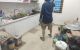 thum-8049392_q3uWyfaEZL_1626980286.jpg
