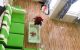 thum-8050687_7MR5Gxsnyh_1627027682.jpg