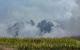 thum-8052337_Fl60OS87cQ_1627100053.jpg