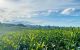 thum-8052844_7dpAkUetRq_1627121400.jpg