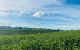 thum-8052848_3kHpNFhbG0_1627121586.jpg