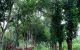 thum-8052993_9HQxM25aRz_1627140574.jpg