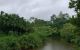 thum-8052993_kdVsELoU0t_1627140570.jpg