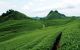 thum-m_9dBpKScyoY_1627121393.jpg