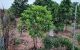 thum-m_9lVmpWc68J_1627099584.jpeg