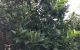 thum-8055359_CNH0oieXRp_1627274847.jpg