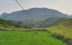 thum-8055359_qAMaC4cnxi_1627274843.jpg