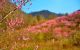 thum-8055708_R7zEA8s6kq_1627288458.jpg