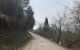 thum-8055850_C640JiflW5_1627292625.jpg