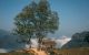 thum-m_S2faBkgocQ_1627287728.jpg