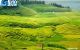 thum-m_xvcMQW8DKk_1627288452.jpg