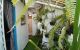 thum-8056727_mqOA4z9rDy_1627339331.jpg