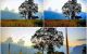 thum-8057272_JEkgNF9o7a_1627361135.jpg