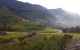 thum-m_b194Ffd26D_1627378975.jpg