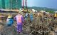 thum-8059084_ST2gwqmF59_1627436735.jpg