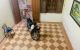 thum-m_dGZATjoMtU_1627467502.jpg