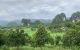 thum-m_xgcrCJo3ta_1627449163.jpg