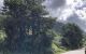 thum-8061368_goAkOsxWh9_1627535737.jpg