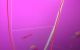 thum-8061888_lgdGhqWM0n_1627554956.jpg