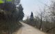 thum-m_ZyeKXBkQTU_1627530790.jpg