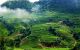 thum-8063349_4eGwI7Mpcf_1627617175.jpg