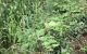 thum-8063476_UVCjNHJwSc_1627626738.jpg