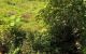 thum-m_k8KQmxpHFA_1627643765.jpg