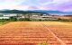 thum-8065239_XkuyKcWAl4_1627697786.jpg