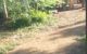thum-8065483_tzqxBG6oeb_1627705352.jpg