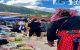 thum-8070144_cSMipjIesm_1627961184.jpg
