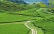 thum-8070147_Z2kAxB0ChN_1627961328.jpg